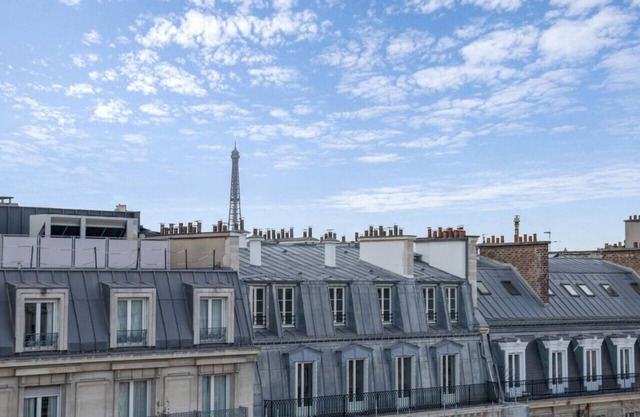 1 Bedroom#Haussmann#Amazing view#EffeilTower#AC