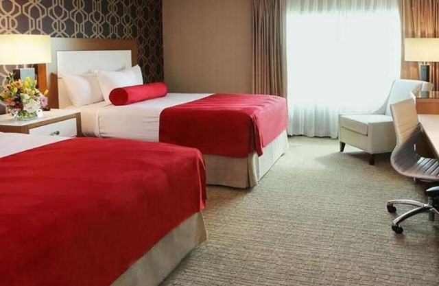 1-Bedroom Suite at a Hotel