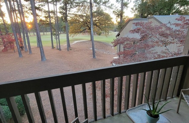 1 BR Condo overlooking 2nd green of Pinehurst #5