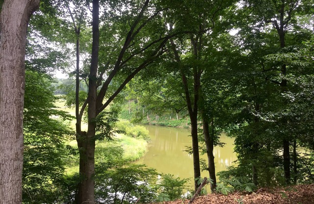 1 BR Kingsmill Resort Condo minutes to Colonial Williamsburg!
