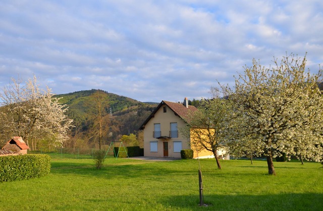 10 'from the mountain of the monkeys - flying eagles - Haut-Koenigsbourg castle