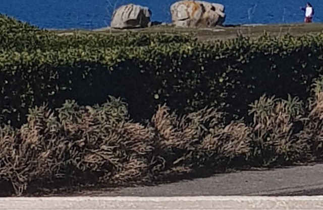 10 min from Pors carn and 10 min from the port. facing the Bay of Audierne