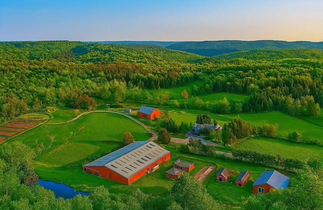 12 BR Estate Experience Over 100 Acres Autumn Midweek - 35% OFF Promo!