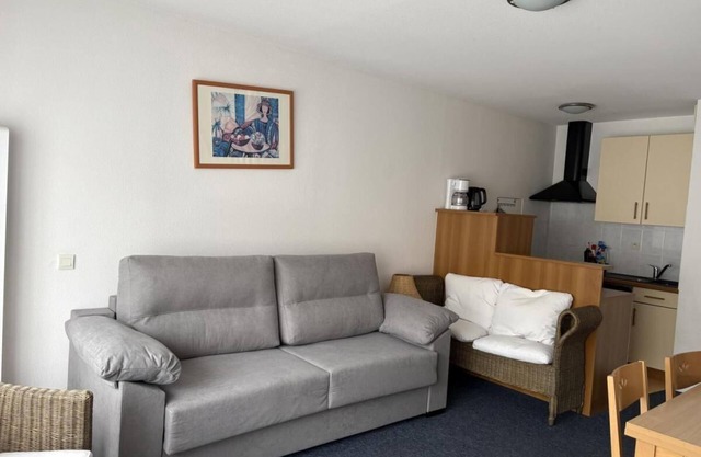 150m from ski slopes, 3rd floor, view ski slopes, fitness, swimming pool, sauna, tv, ski locker