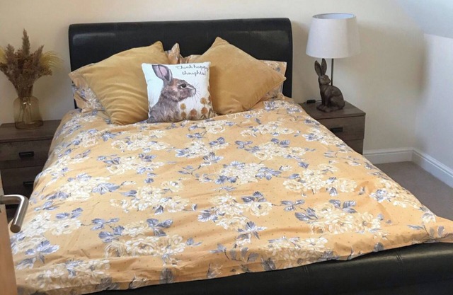 2-Bed Duplex Sleeps 3 with Fireplace