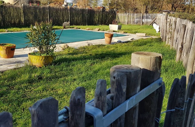 2 bedroom house, enclosed garden, single storey with pool access