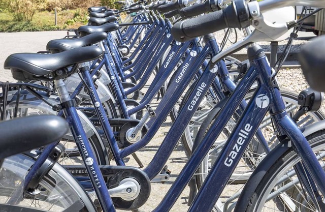 2 Charming Rooms Near Vollenhove Gardens | Weerribben & Dwingelderveld Nearby