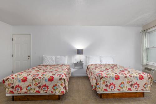 2 Compact Combined Family Studios