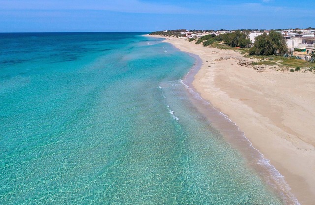 2184 Mono Chicca Blu