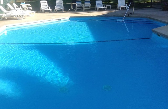 2bd 2 bath in Bellaire right on Shanty Creek close to golf,skiing,trails,beaches