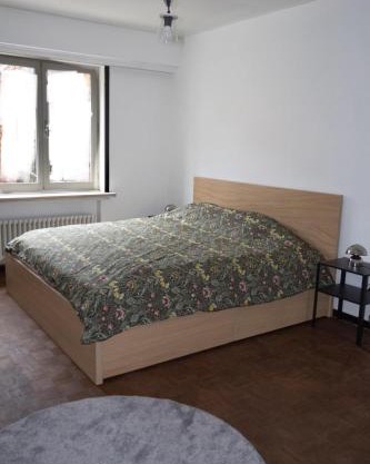 2BR & 1LR Apt Only 15 Mins to Gravensteen Castle