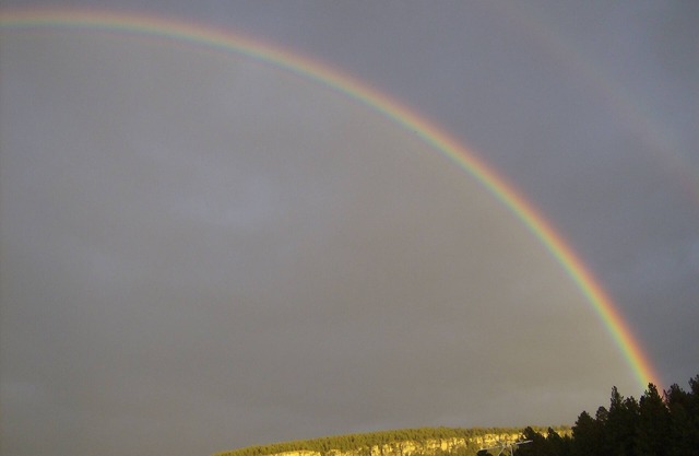 3 Bedrooms, 1 den; 4 queen size beds; 2-bathroom Home in Historic Nemo