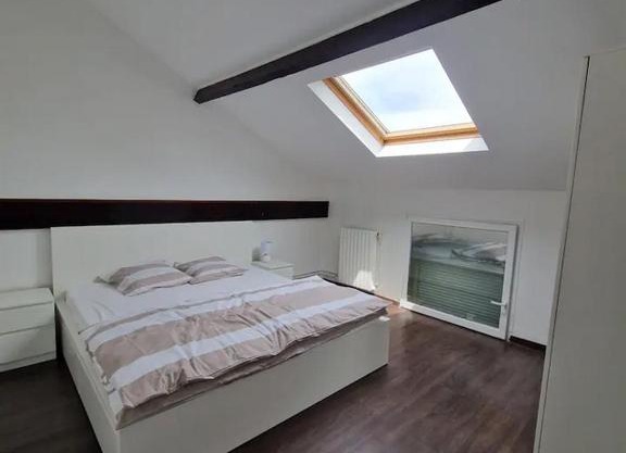 3 cosy bedrooms house with 4 beds near Paris