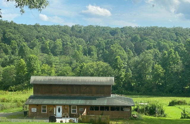3 Minutes to Downtown Blue Ridge. Fully updated barn Studio.