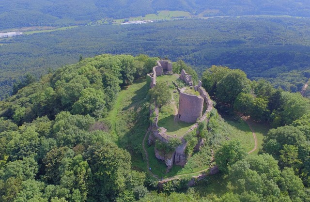 3 stars (gite de France) - Gite sledgeur & Sapinière