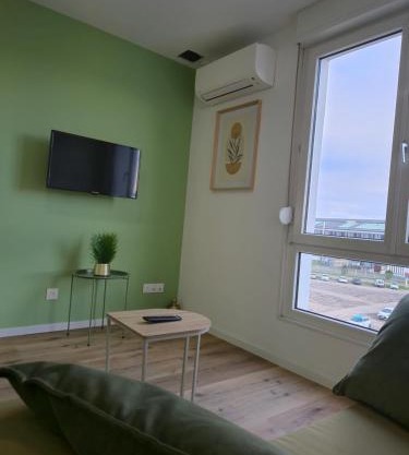 303 - Strasbourg appartement Green refait à neuf