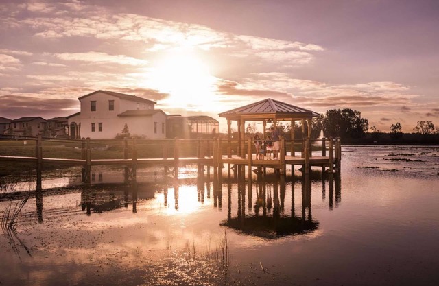 3BR Home Near Legoland & Disney | Pool, Game Room, Balmoral Resort Amenities | Pet-Friendly