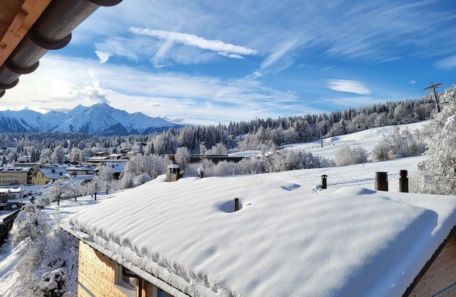 4.5 room flat "MyGrischa" with mountain view