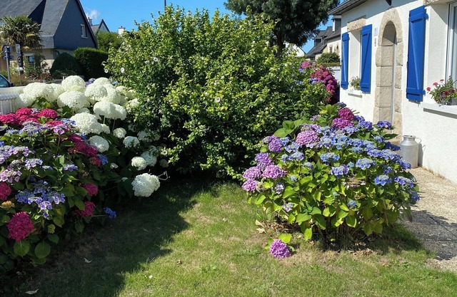 4-person apartment located 10 minutes' walk from downtown Dinan