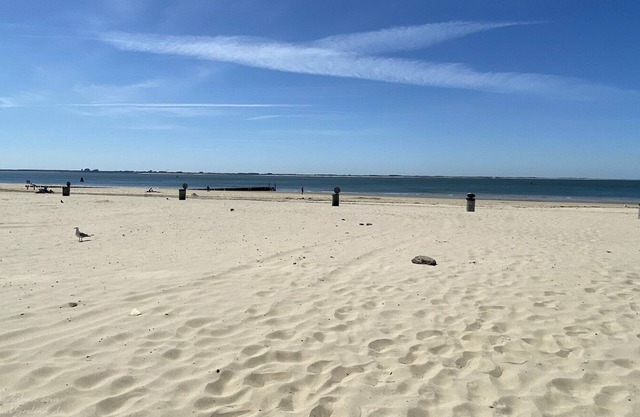 4-person Beach Room Vlissingen