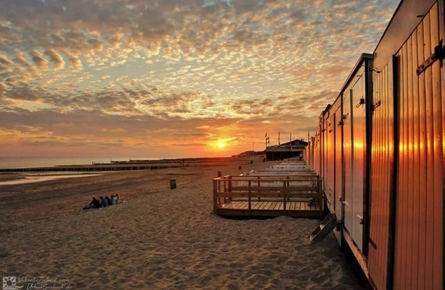 4 person chalet at family park in Veere