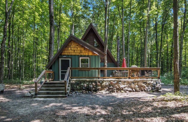 5 acre A-Frame near Torch Lake, Shanty Schuss Mtn, Traverse City & Kalkaska