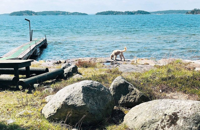 6 person holiday home in ORNÖ