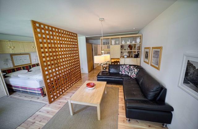 738 - Standard | 55 sqm 1,5 room (with Hochschwarzwaldkarte) - Ferienwohnungen am