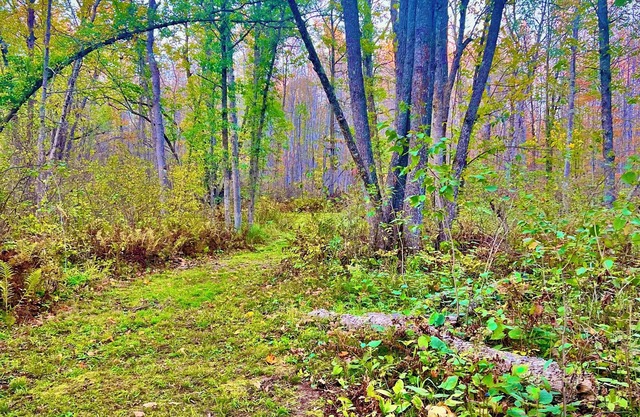 9 Acres of Secluded Freedom along the Kettle River in Sturgeon Lake, MN