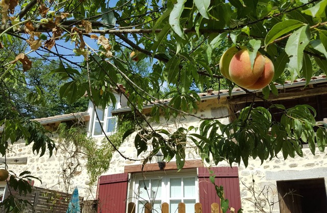 A 3 bed rural gite for up to 6 people, 20 acres of grounds, wifi, by a river.