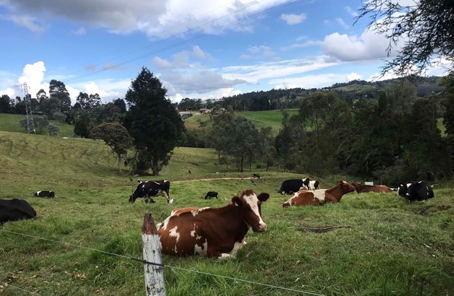 A 5km del parque arvi, casa finca donde puedes disfrutar de la naturaleza