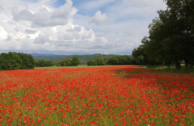 A BEAUTIFUL GARDEN VILLA IN THE CENTER OF MONTMEYAN