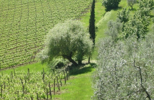 A Cosy Tuscan Villa, With Stunning Views On The Chianti Hills Near Florence