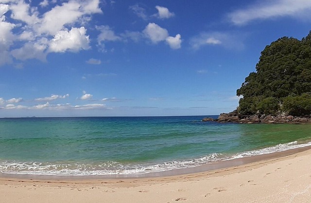 A couple's getaway and pet beach holiday spot, 2 minute walk to the beach ⛱