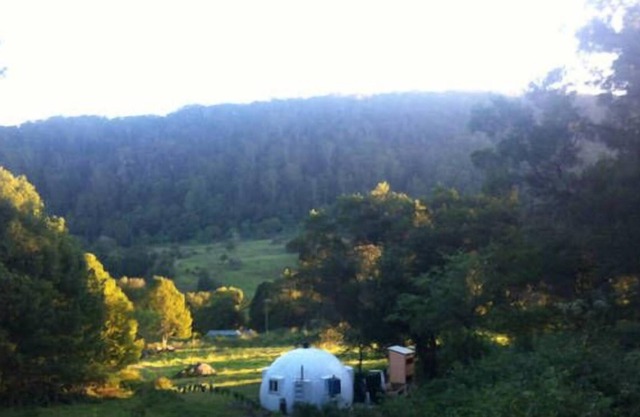A Dome Away from Home - Rainforest Valley near Mullumbimby
