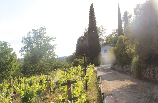 A haven of peace in Provence