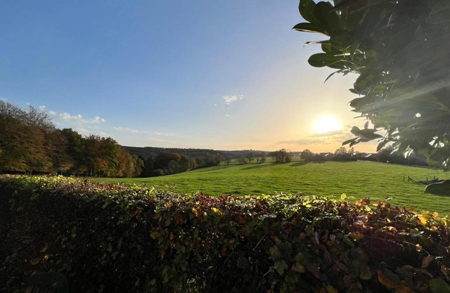 A l’orée du bois…