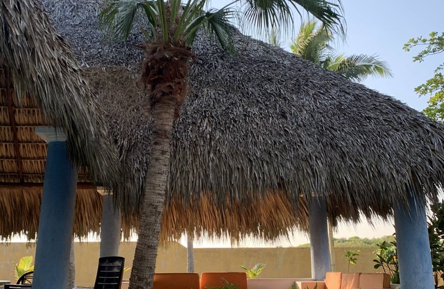 A Natural Paradise in the Pacific coast