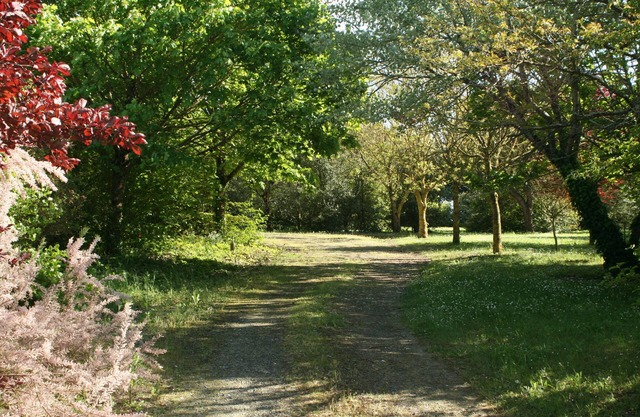 A nature paradise 3km from the beach - near La Rochelle