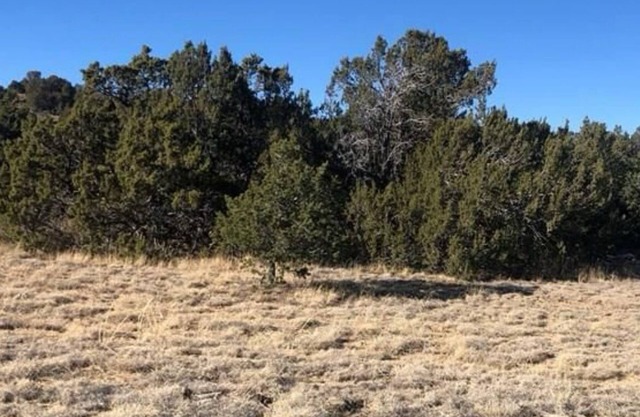 A Survivalist Experience - Bring your own everything