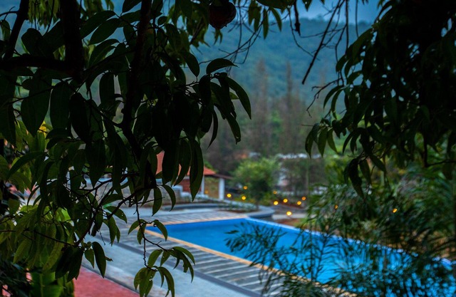 Aara Jungle Resort