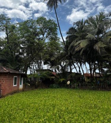 Absolute paradise Kudle beach