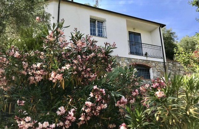 Absolute Ruhe im Olivenhain