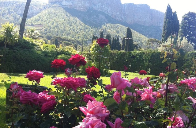 Adorable apartment in a absolute calm garden luxury residence near sea village