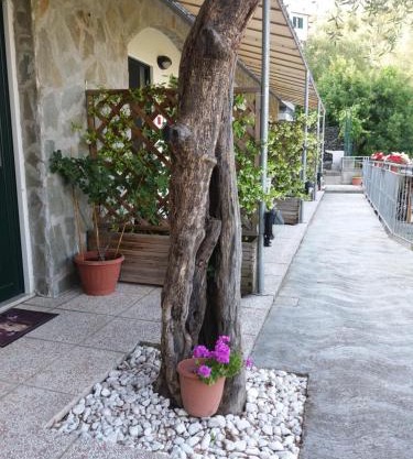 Affittacamere arabafenice