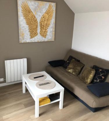 Agréable T2 au centre de Dijon