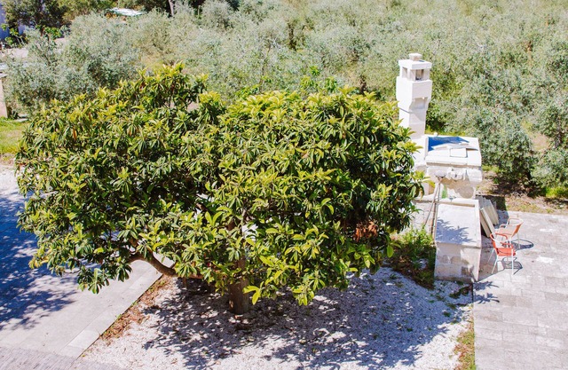 Agriturismo biologico Piccapane