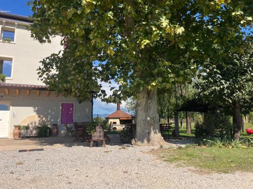 Agriturismo Corte Bonetti - Appartamento Il Salice