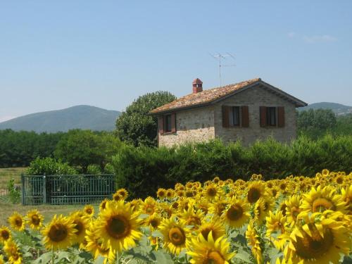 Agriturismo gli Arrighi - Cà di Giulia