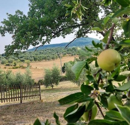 Agriturismo il Cantiniere